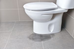 4 Key Signs It’s Time for a Toilet Replacement